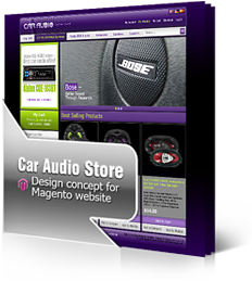 Car Audio Store