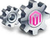 Magento Extensions